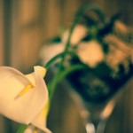 089_Sunflower&i_Briday