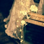 105_Sunflower&i_Briday